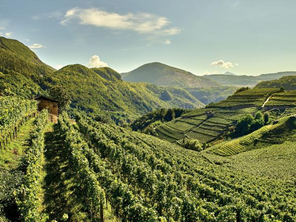 A cena... in Val di Cembra